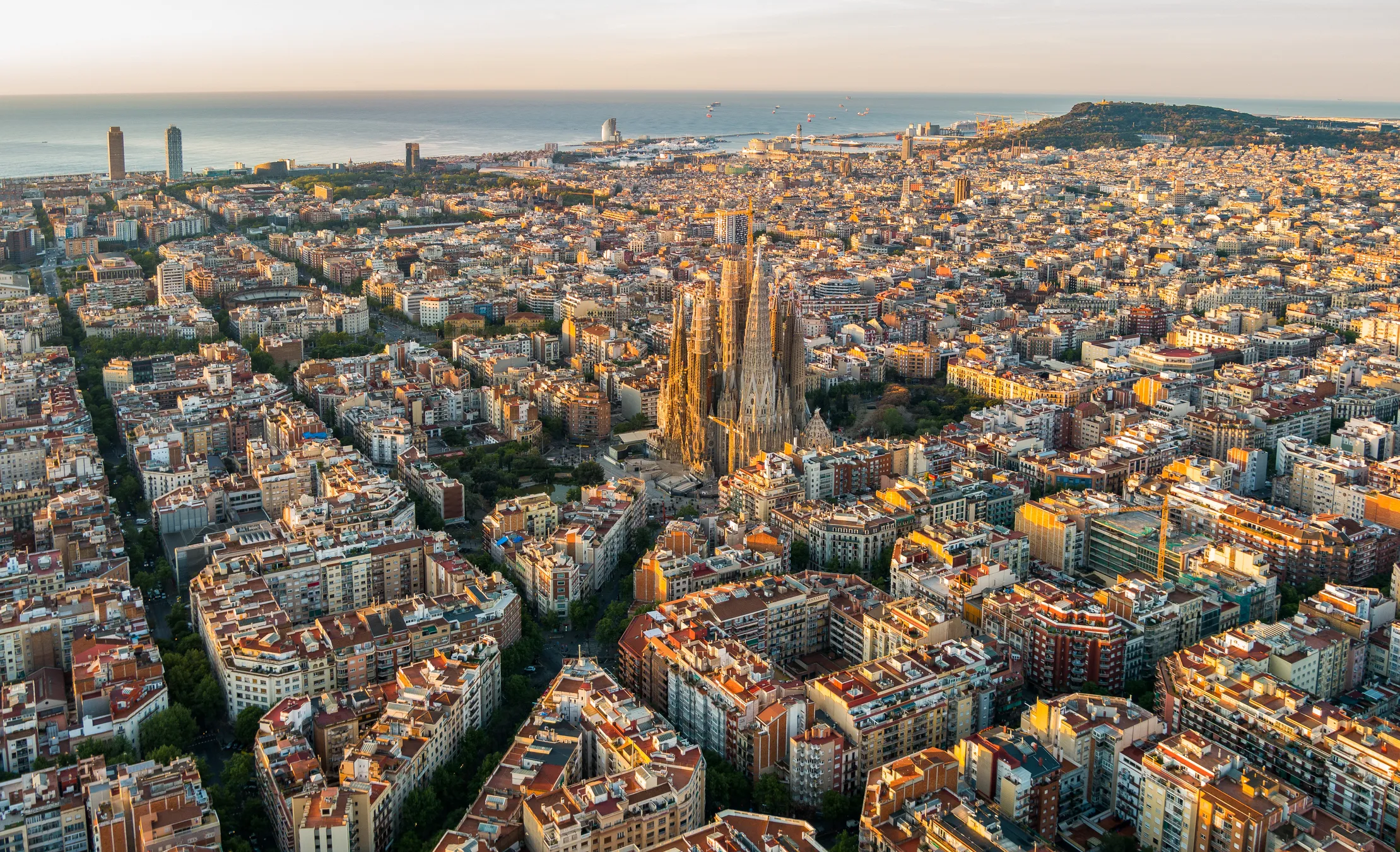 Barcelona acogerá en 2023 la primera Cumbre Internacional sobre el sector agroalimentario